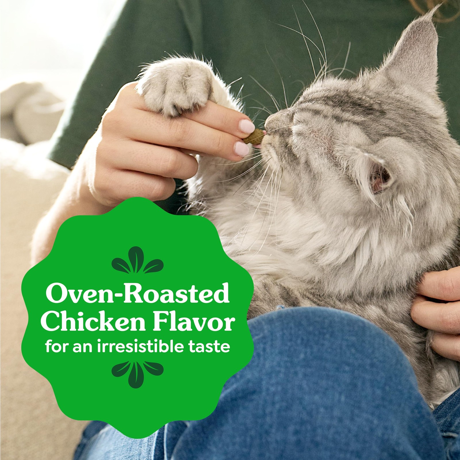 Greenies Cat Treats, Feline 9.75 Ounce (Pack of 1), Chicken