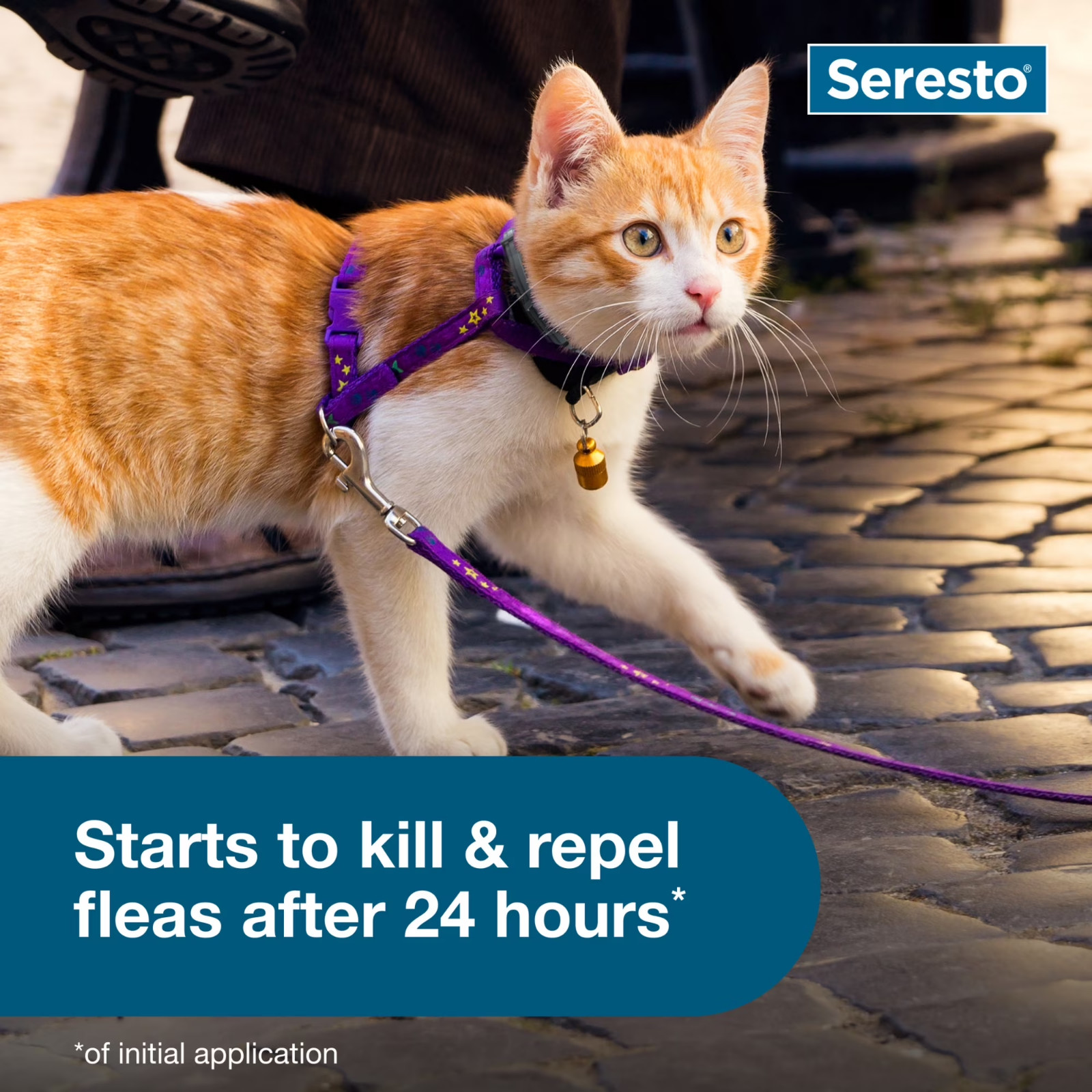 Seresto Vet-Recommended 8-Month Flea & Tick Prevention Collar for Cats