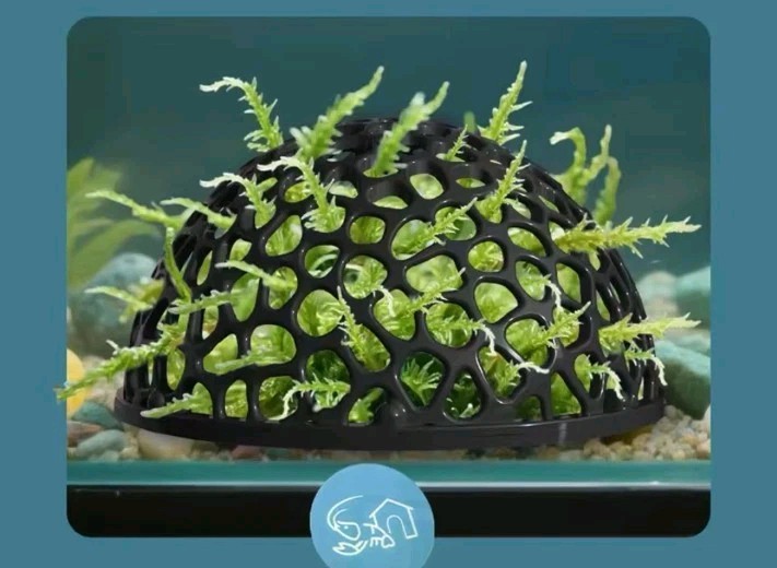 2 PLANT/MOSS/SHRIMP/FISH HIDEOUT SHELTER DOME HEMISPHERE HOUSE BREEDING CAVE