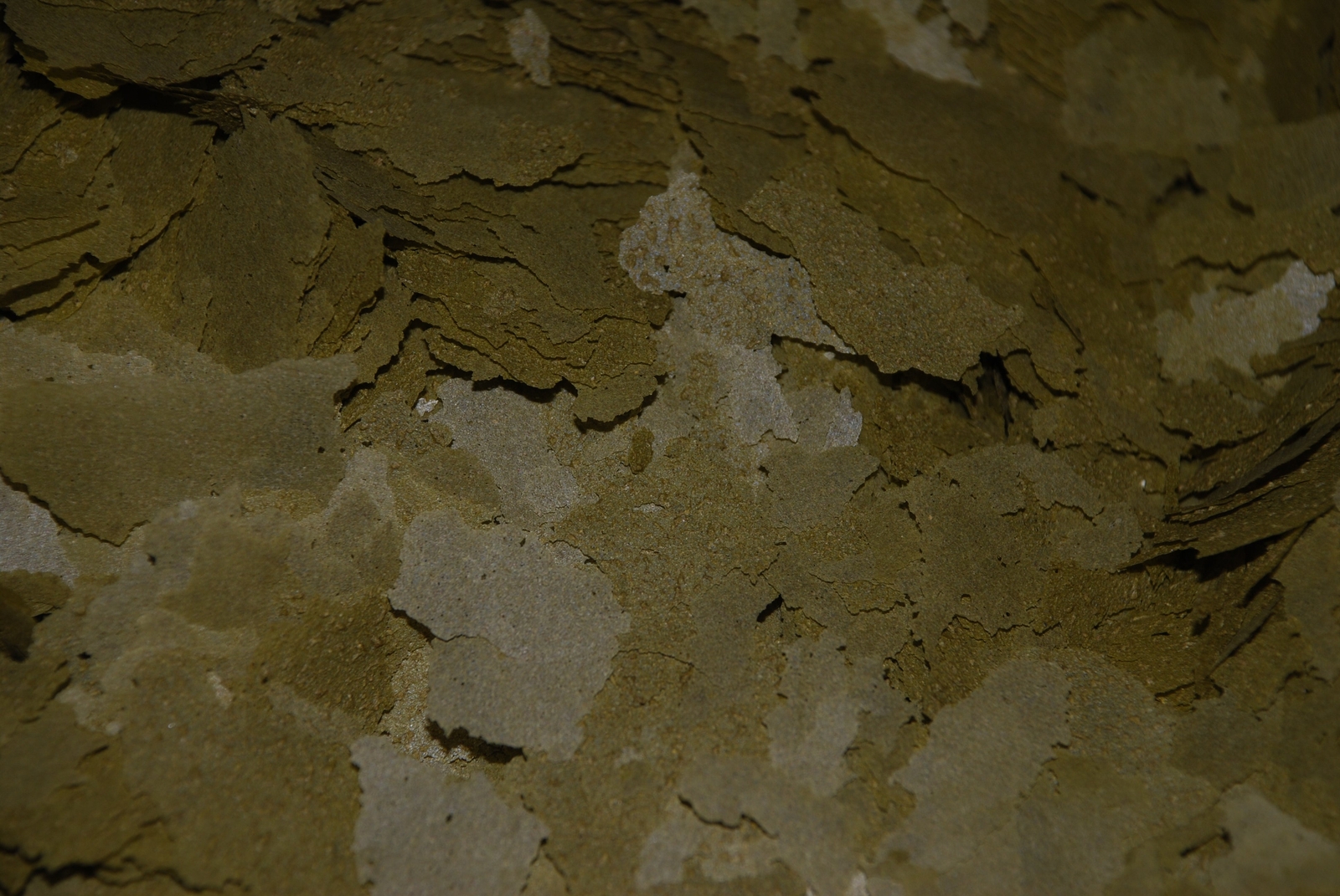 Ken’s Ultra Intense Spirulina Flake