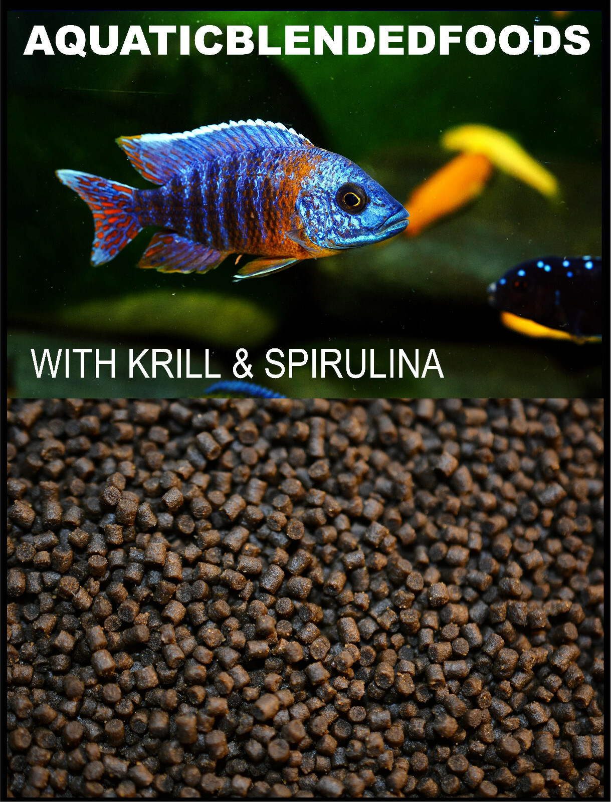 ABF SINKING CICHLID PELLETS 1.0,KRILL & SPIRULINA,Oscar,”HEAT SEALED”,ABF305