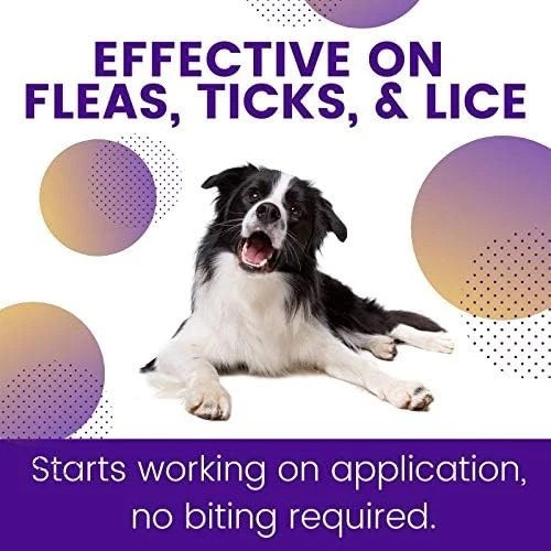 ZoGuard Plus Preventative Treatment Flea Tick for Medium Dogs 23-44 lb 6 Months