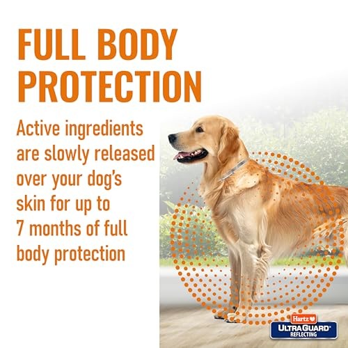 Collar antipulgas y garrapatas Hartz UltraGuard para perros 26 pulg proteccion