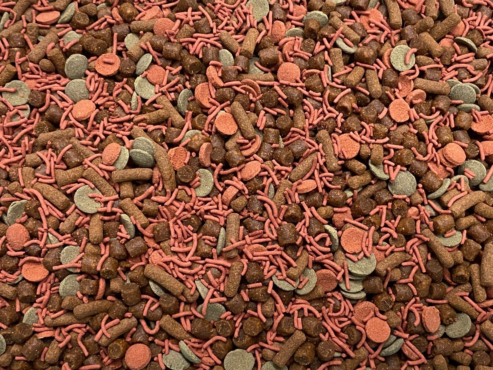 ABF CATFISH FOOD MIX,Bottom Feeders,Pleco,Cory Catfish,Loach,Snails,ABF57WWC