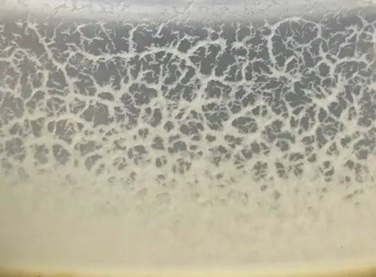 Live Micro Worm Culture Oatmeal Starter Fast Growth Fish Fry Food USA