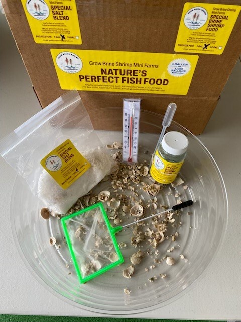 Grow Brine Shrimp One Gallon Kit