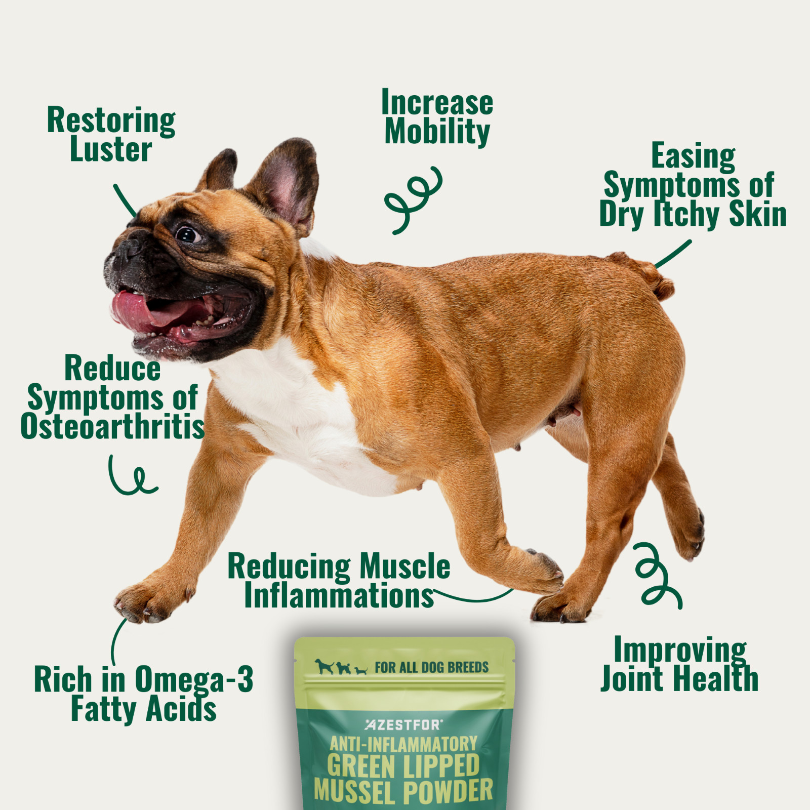 Anti-inflammatory Green Lipped Mussel for Dogs Powder Veterinarian Recommended