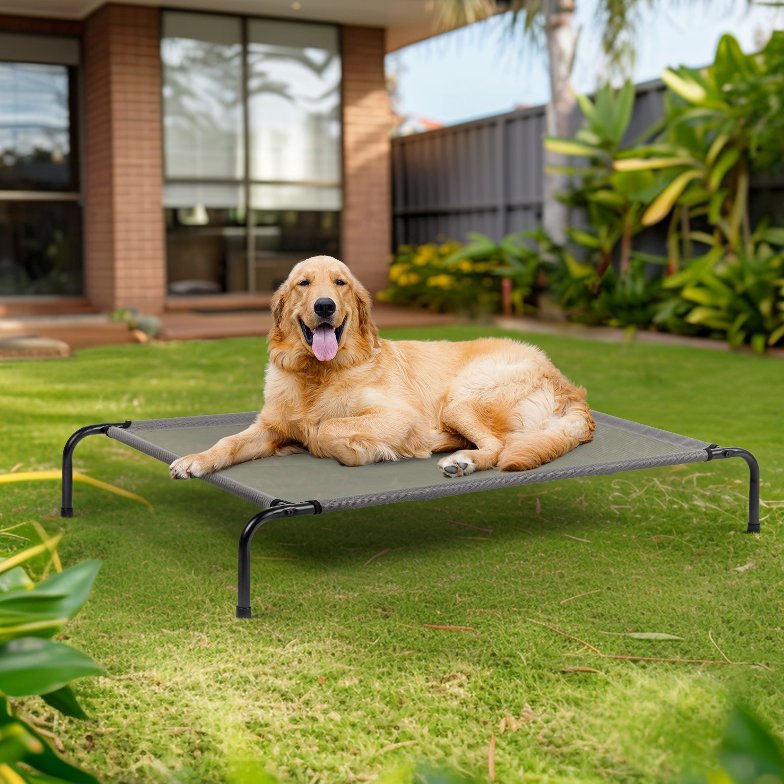 50″ Cooling Elevated Dog Bed with Metal Frame Indoor Outdoor Raised Pet Bed Cot