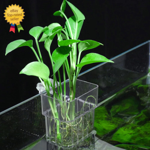 Aquarium Plant Holder,2Pack Transparent Hanging Pot for Fish Tank Aquatic Plant