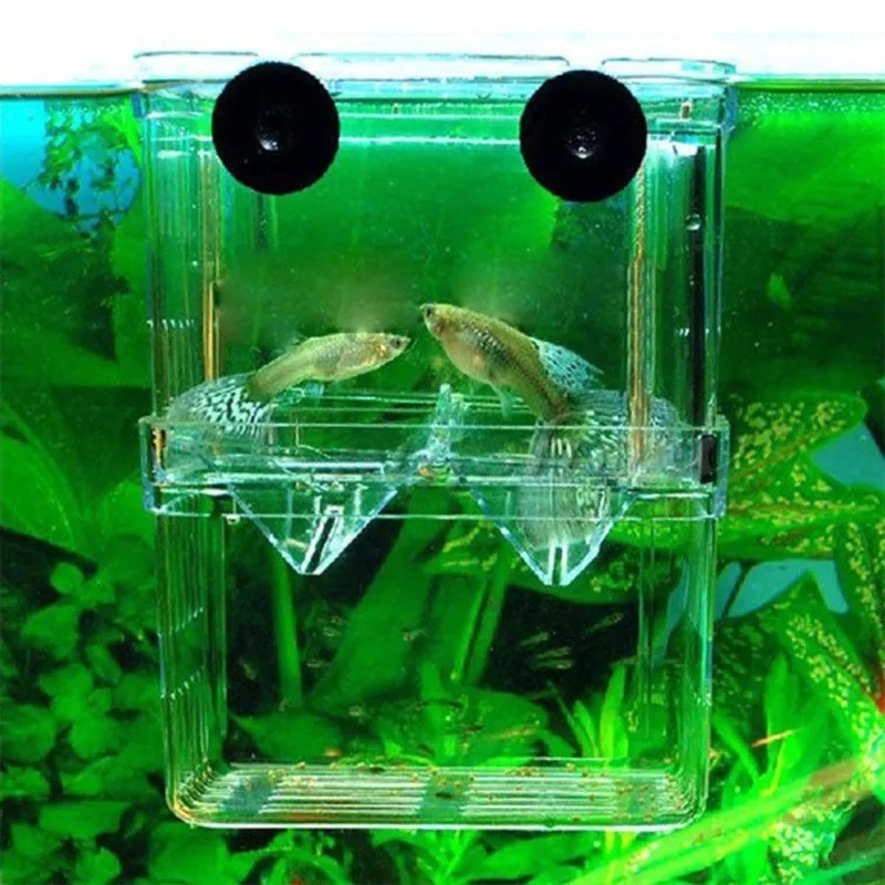 Multifunctional Fish Breeder Box Aquarium Guppy Hatching Incubator Tank Set