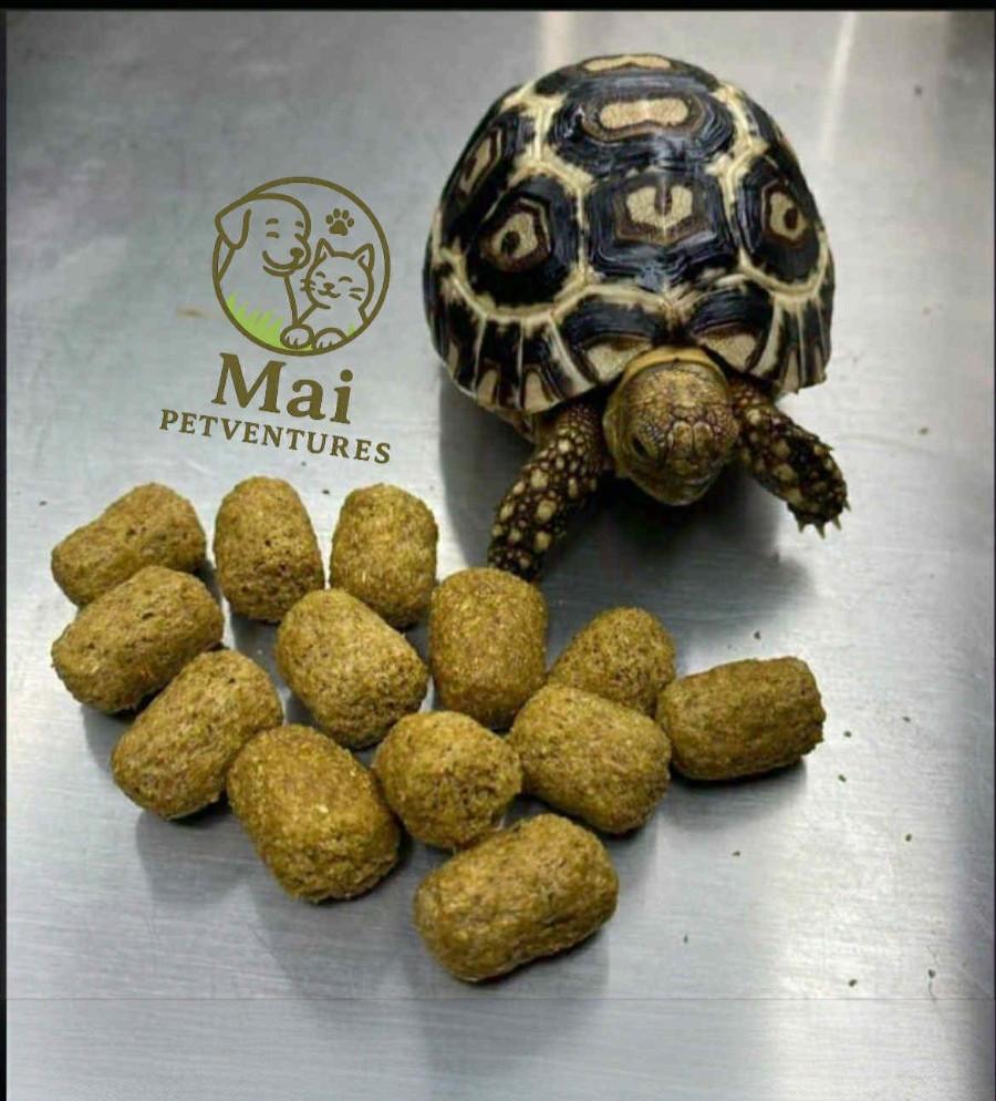 Premium Tortoise Food – LARGE Size – 2oz to 25lb | Natural Healthy Diet