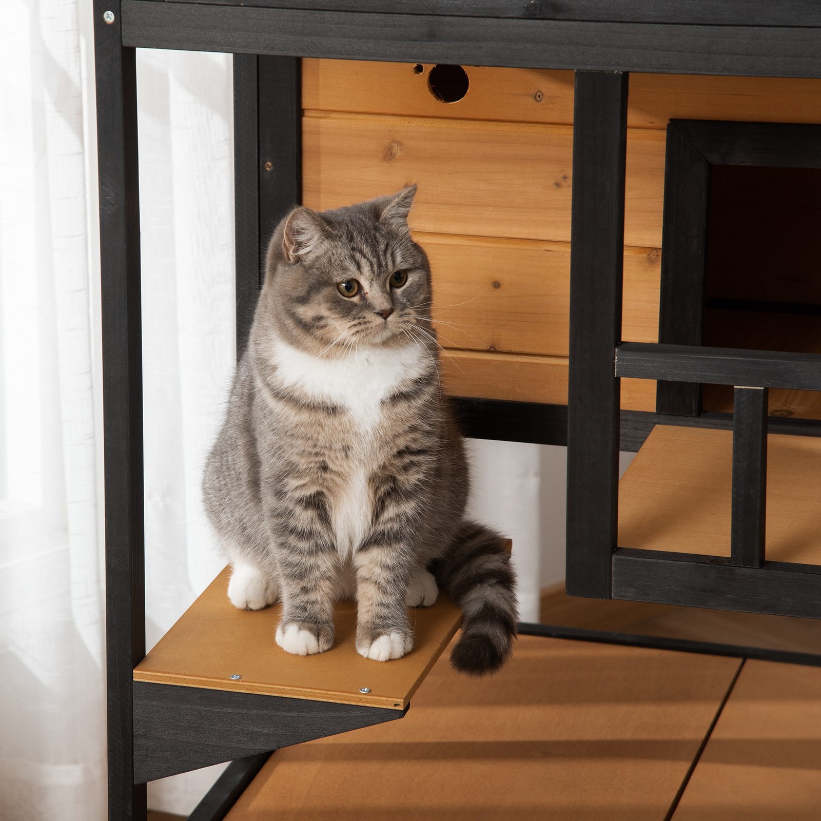 Outdoor Feral Cat House Kitten Condo Shelter with Escape Door Jumping Platform