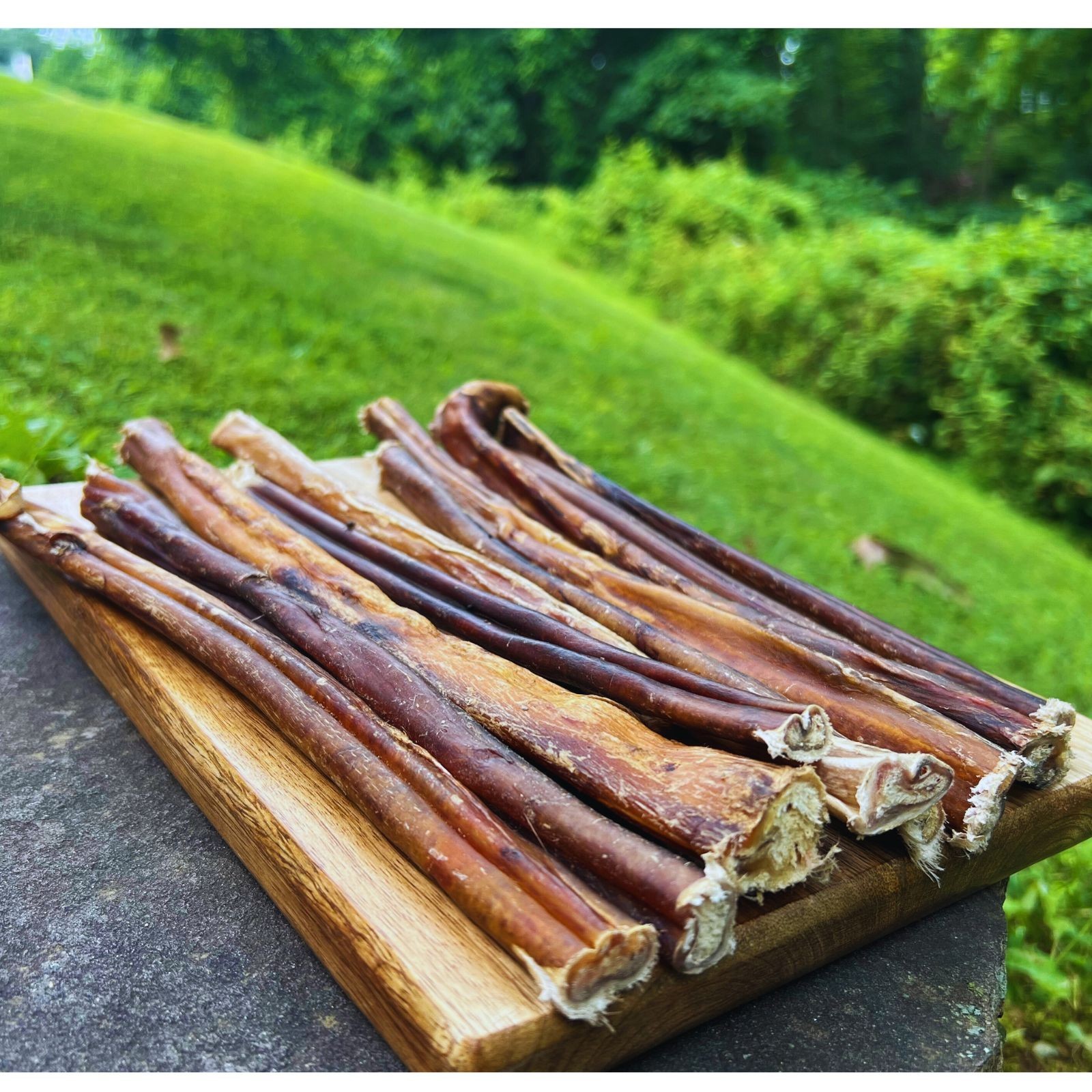 Bully Sticks 12″ 100% Natural Beef Bully Sticks Dog Chews & Treats USA Sourced