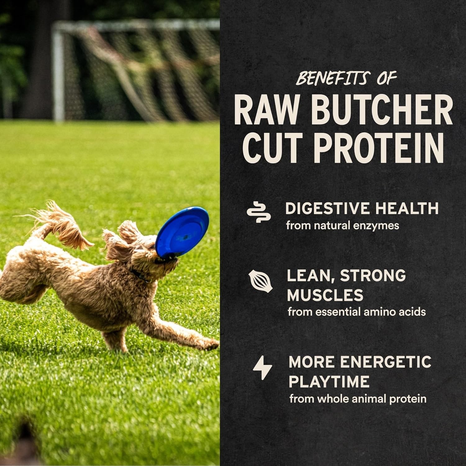 Raw Freeze Dried Minnows | High Protein Dog Treats | 1 oz for All Breed Sizes