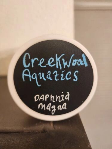 Live daphnia magna 1200 count. Free Shipping.