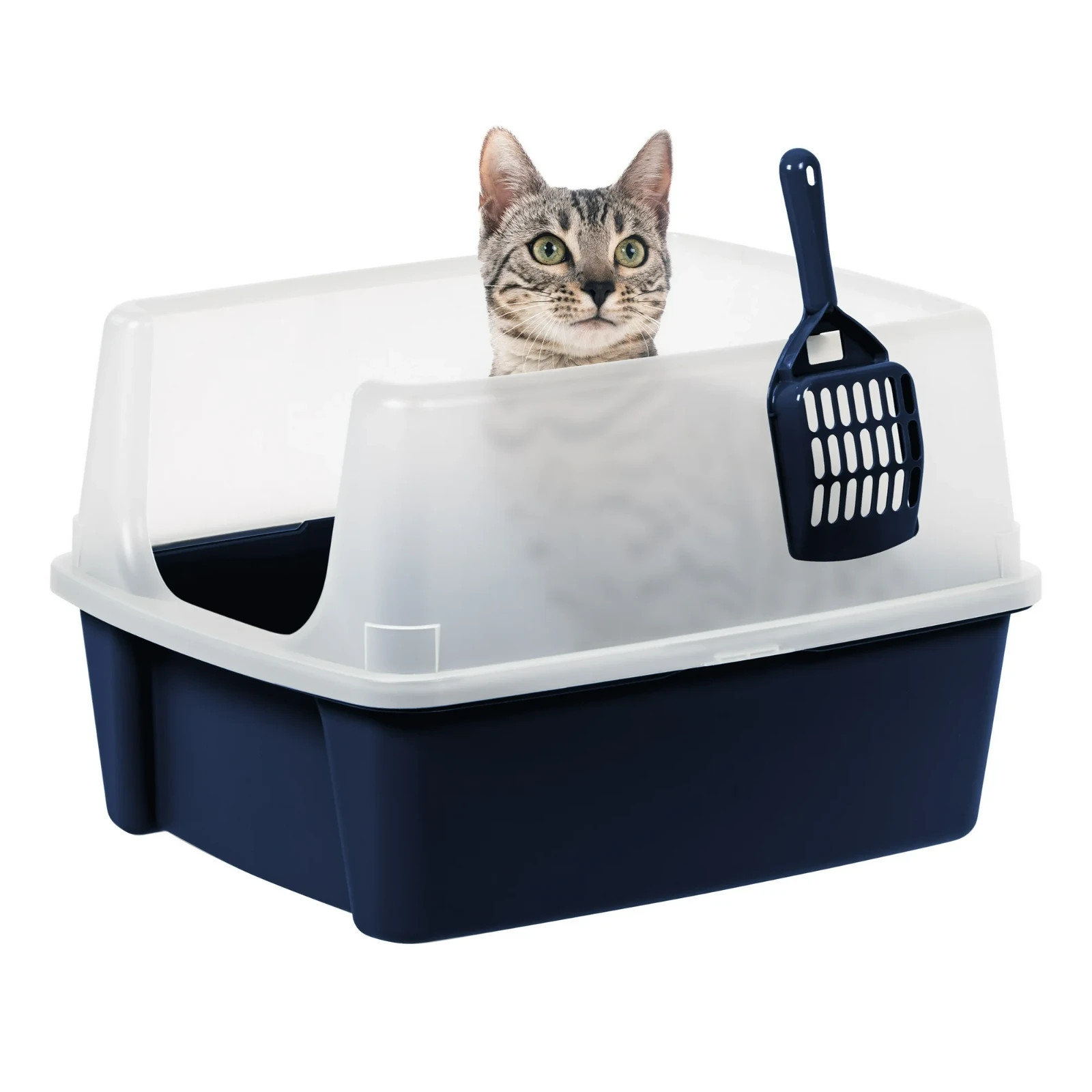 High Sided Open Top Cat Litter Box with Scoop, Navy