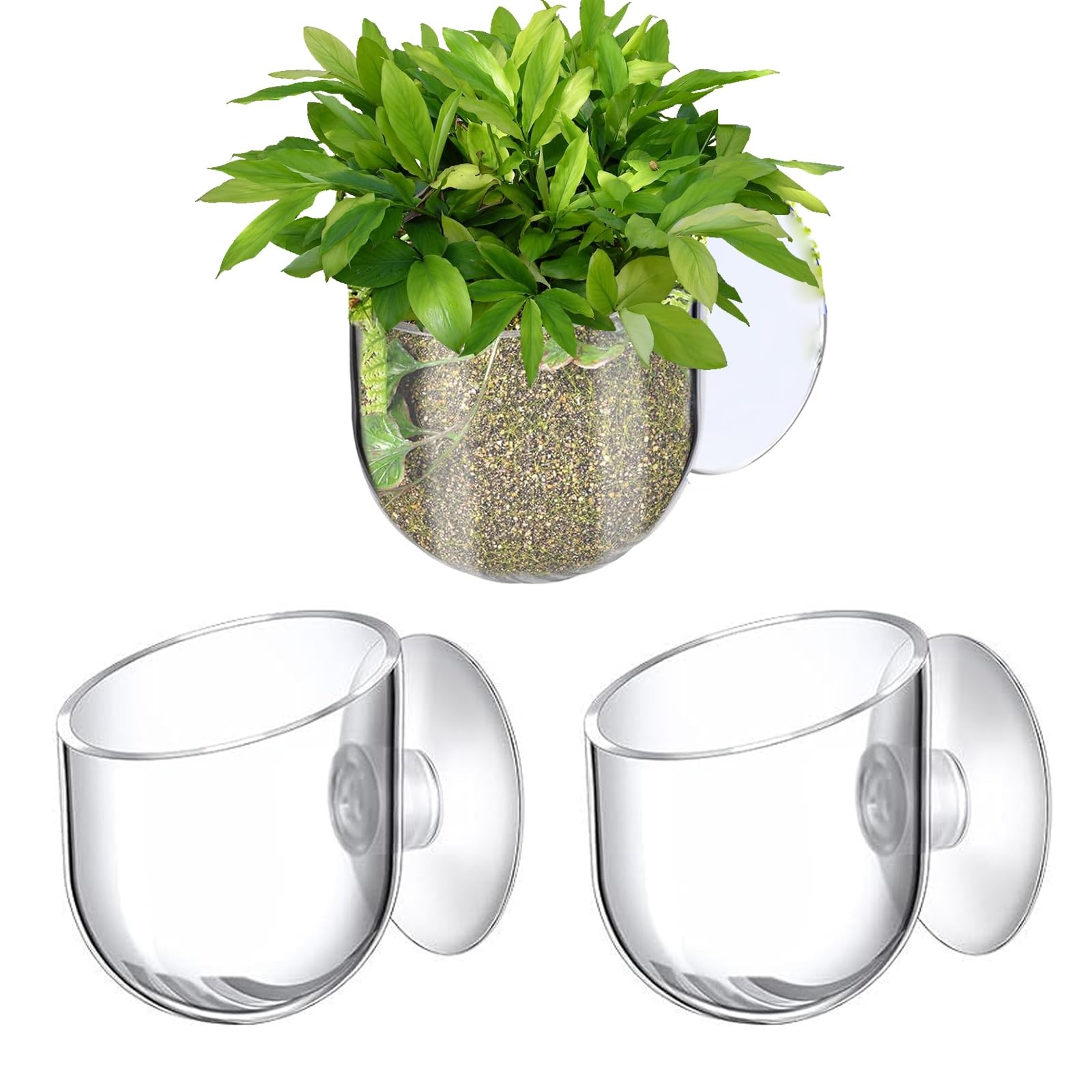 KABASI 3 Pack Aquarium Plant Holder Pot, Red Worm Fish Shrimp Feeder, Clear