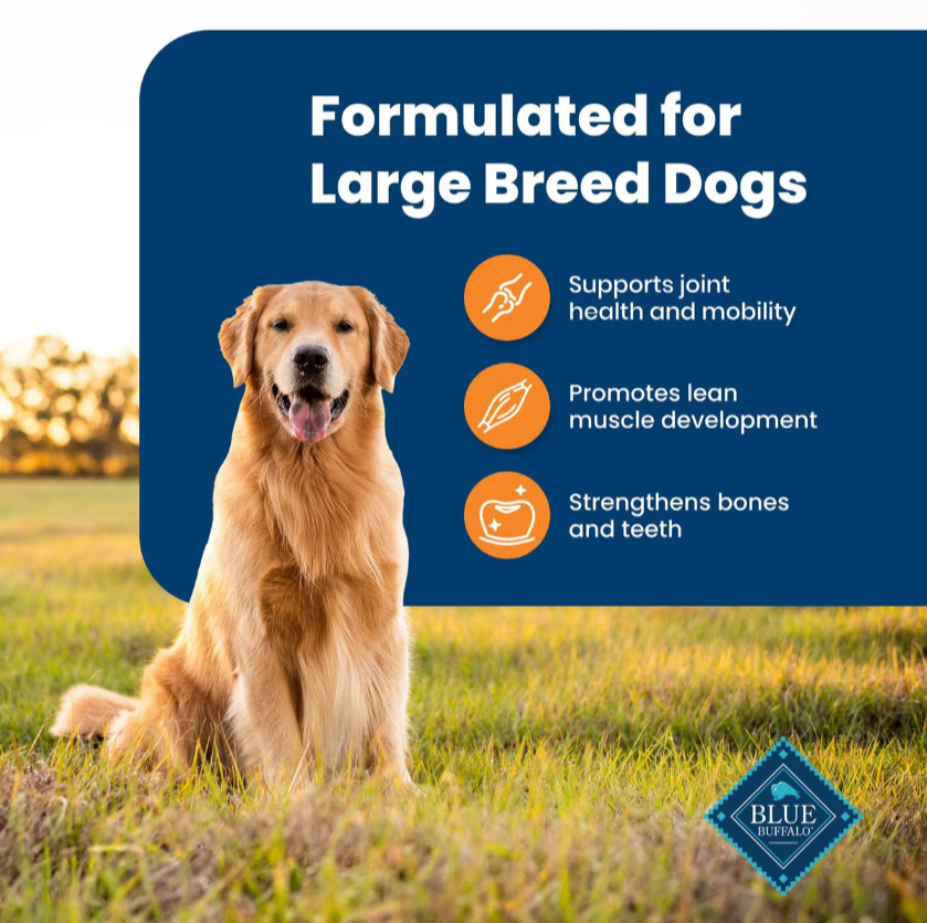Blue Buffalo Life Protection Formula Large Breed Adult Chicken Dry Dog Food,30lb
