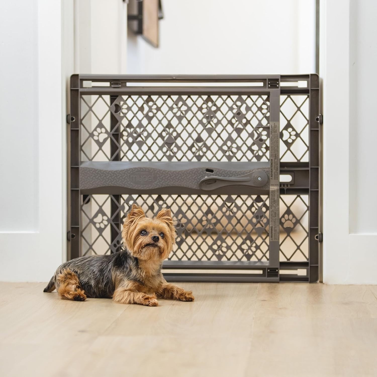 Mypet Paws 26-40″ Wide Expandable Pet Gate, Fieldston + Installation Service