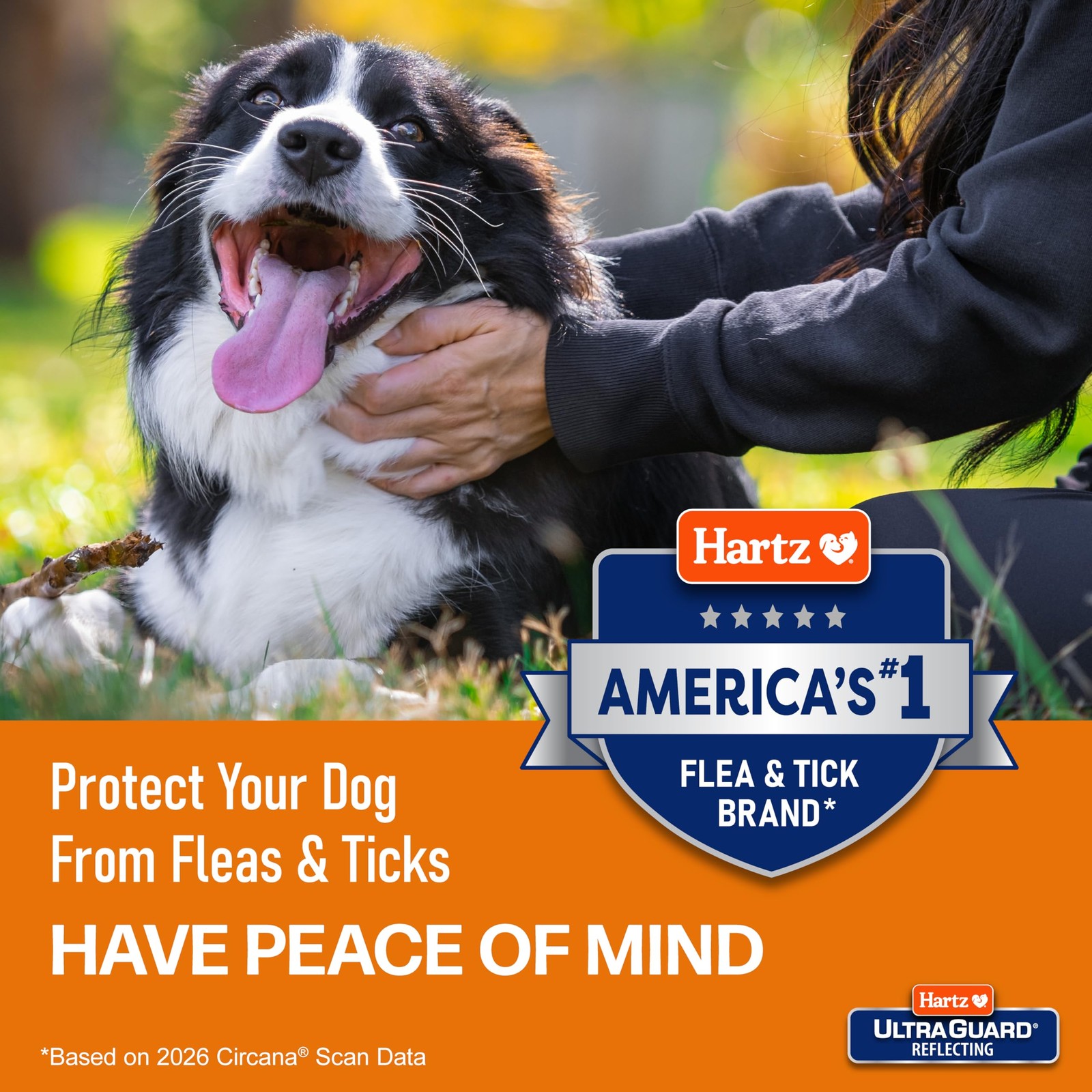 Collar antipulgas y garrapatas Hartz UltraGuard para perros 26 pulg proteccion