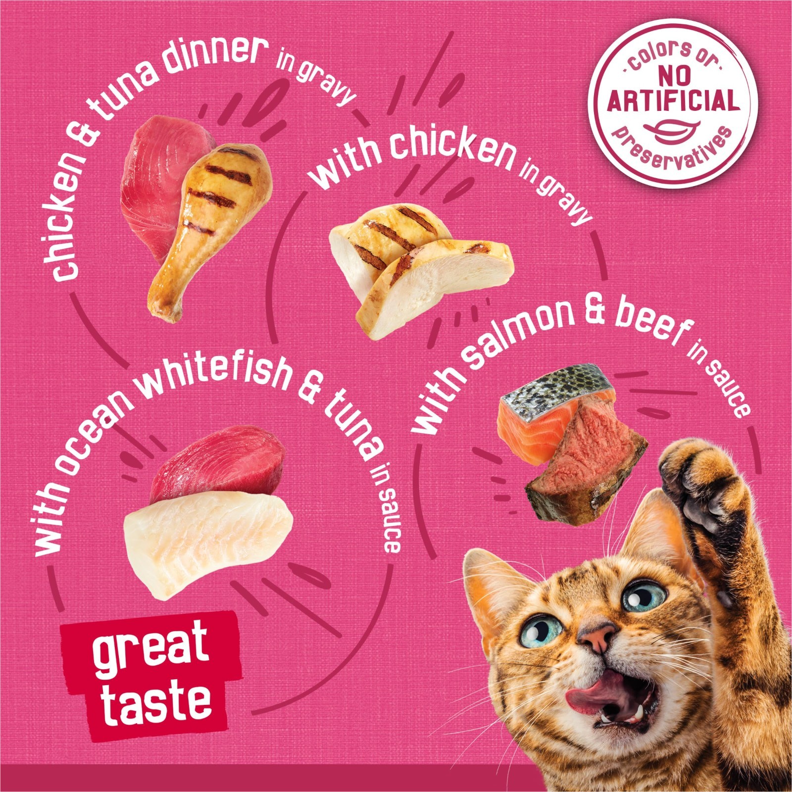 2 PACK Purina Friskies Gravy Wet Cat Food Variety Pack, ( Pack of 40 ) 5.5 oz.