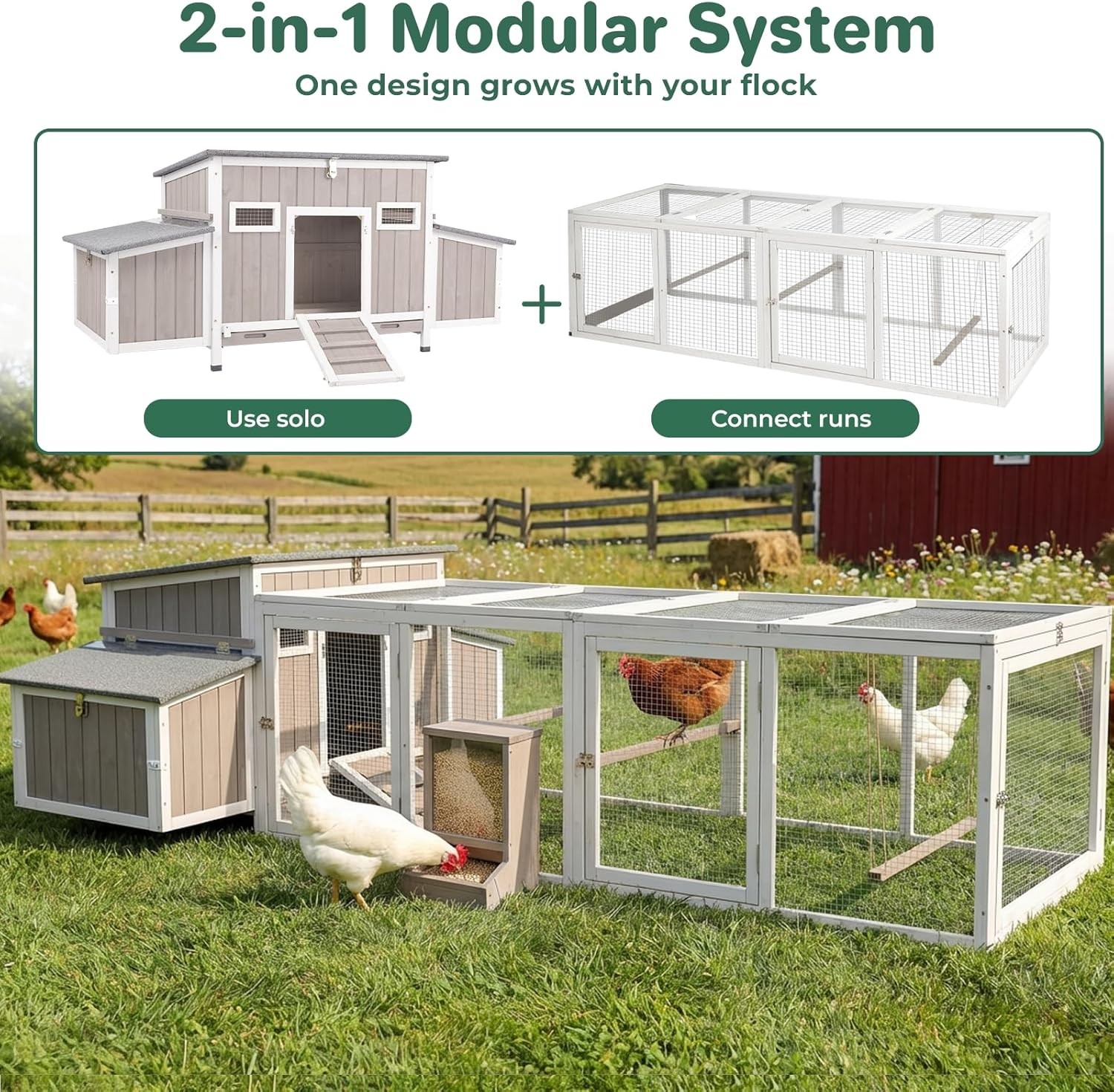 PETSCOSSET 62″Chicken Coop for 2-4 Chickens,Large Hen House with 4 Nesting Boxes