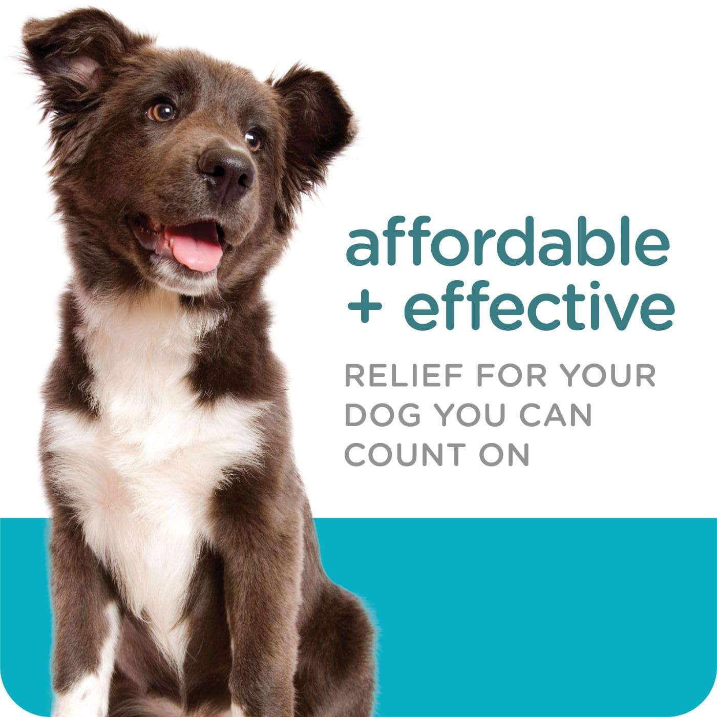 Sergeant’s Guardian Flea & Tick Squeeze On Topical for Dogs, 33-66 lbs., 3 Count