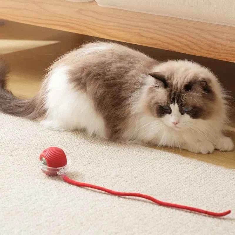 Smart Automatic Rolling Ball – Electric Self-Moving Pet Toy for Cats & Dogs