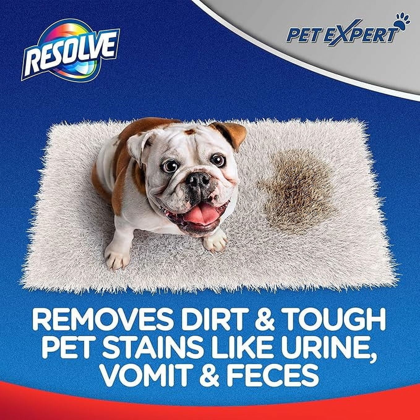 Pet Expert Carpet Stain Cleaner Solution & Odor Remover Spray 22 oz