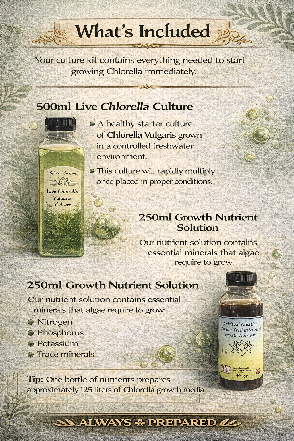 Live Chlorella Vulgaris Culture (500ml) and Algae Growth Nutrient (250ml)