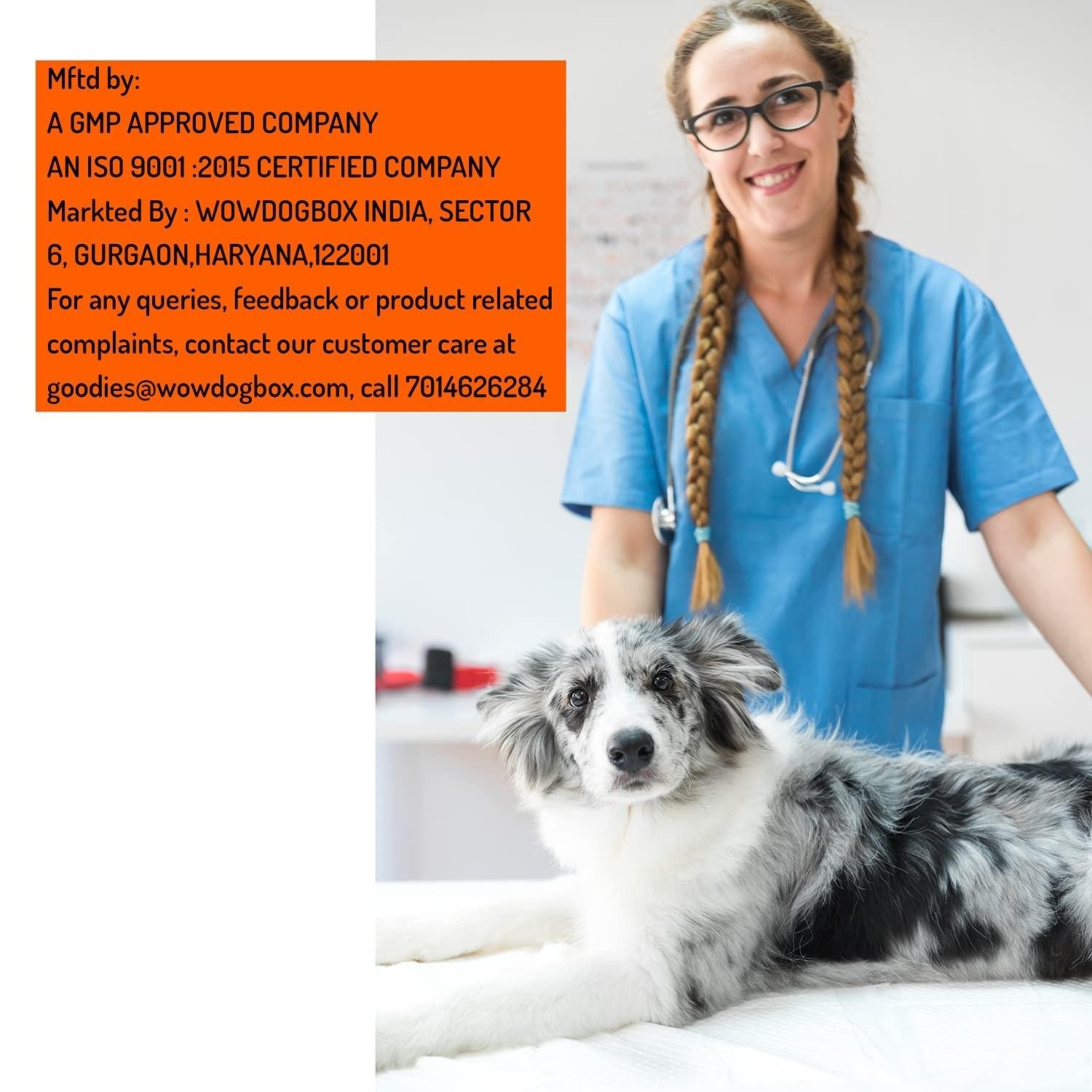 WOW DOG Digestion & Immunity Booster with Probiotic + 100 gm for Dogs and Cats