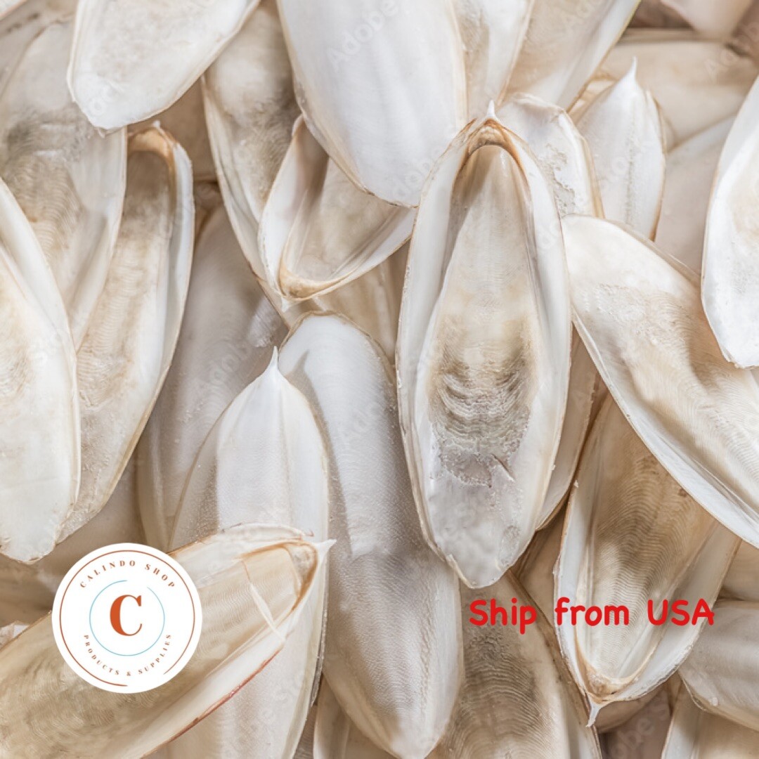 Large Natural Cuttlebone Cuttlefish Bone Bird Reptile Turtle Food Calcium 5″-6″