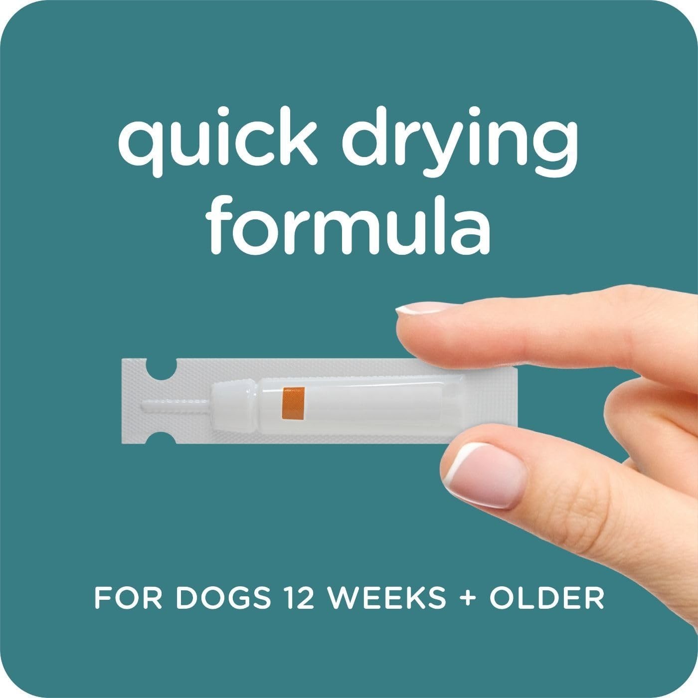 Sergeant’s Unscented Flea & Tick Treatment for Small Dogs 3 Count package