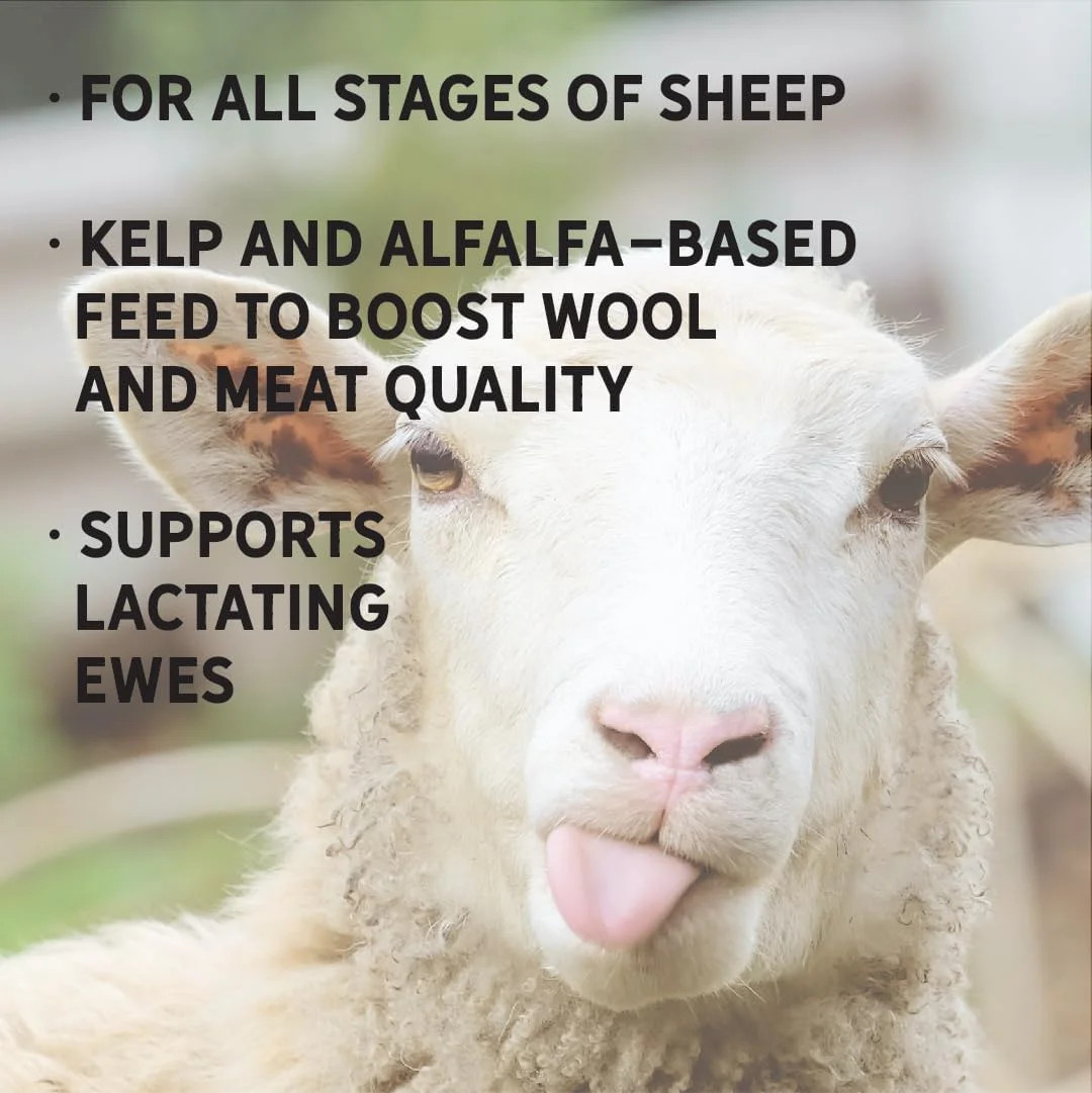 New Country Organics | Sheep Feed for Lactating Ewes and General Maintenance | S