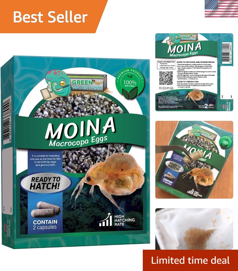Additive-Free Moina Macrocopa Eggs – Enhancing Fish Vitality and Survival Rate