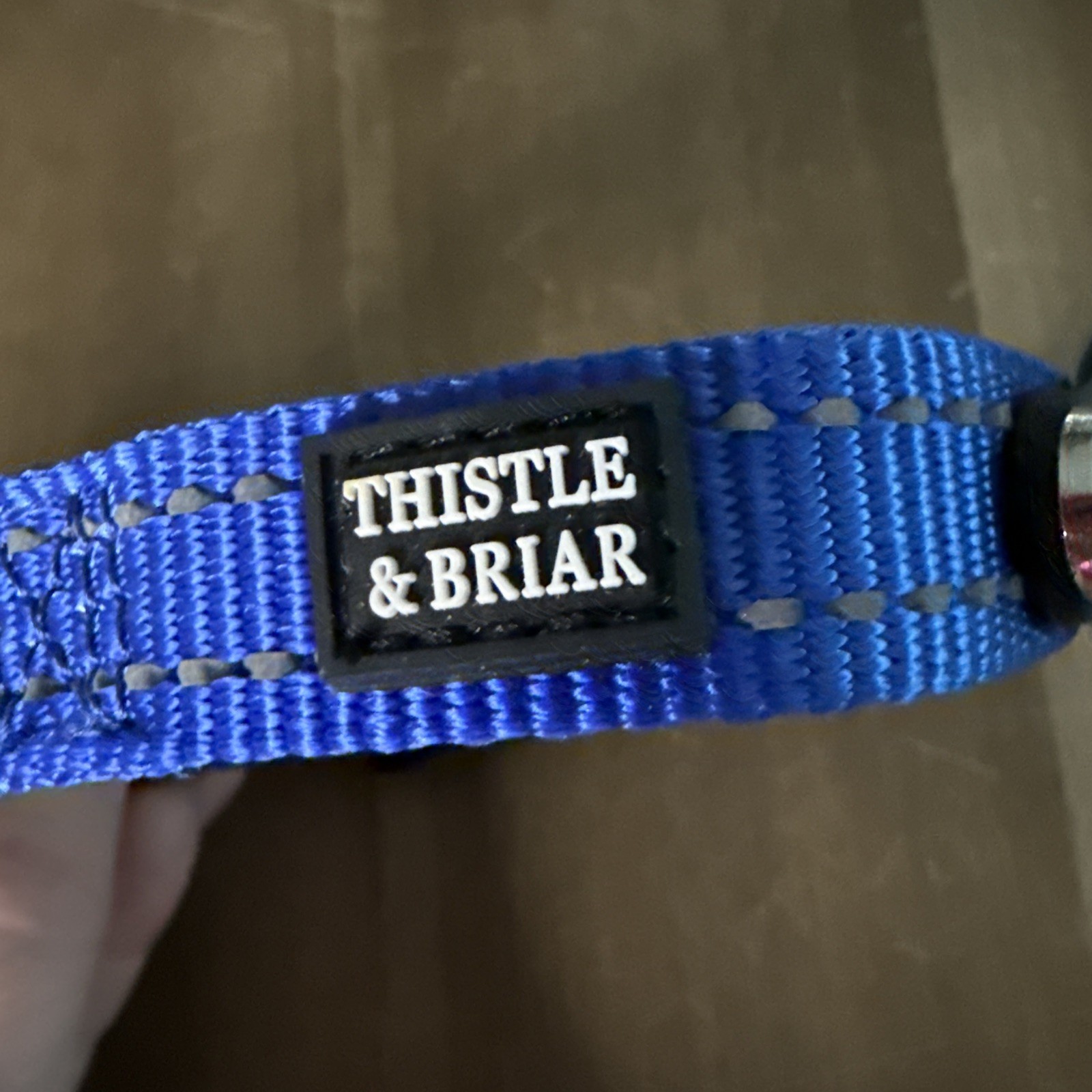 Thistle & Briar AirTag Dog Collar,Reflective Nylon Blue 16” Small