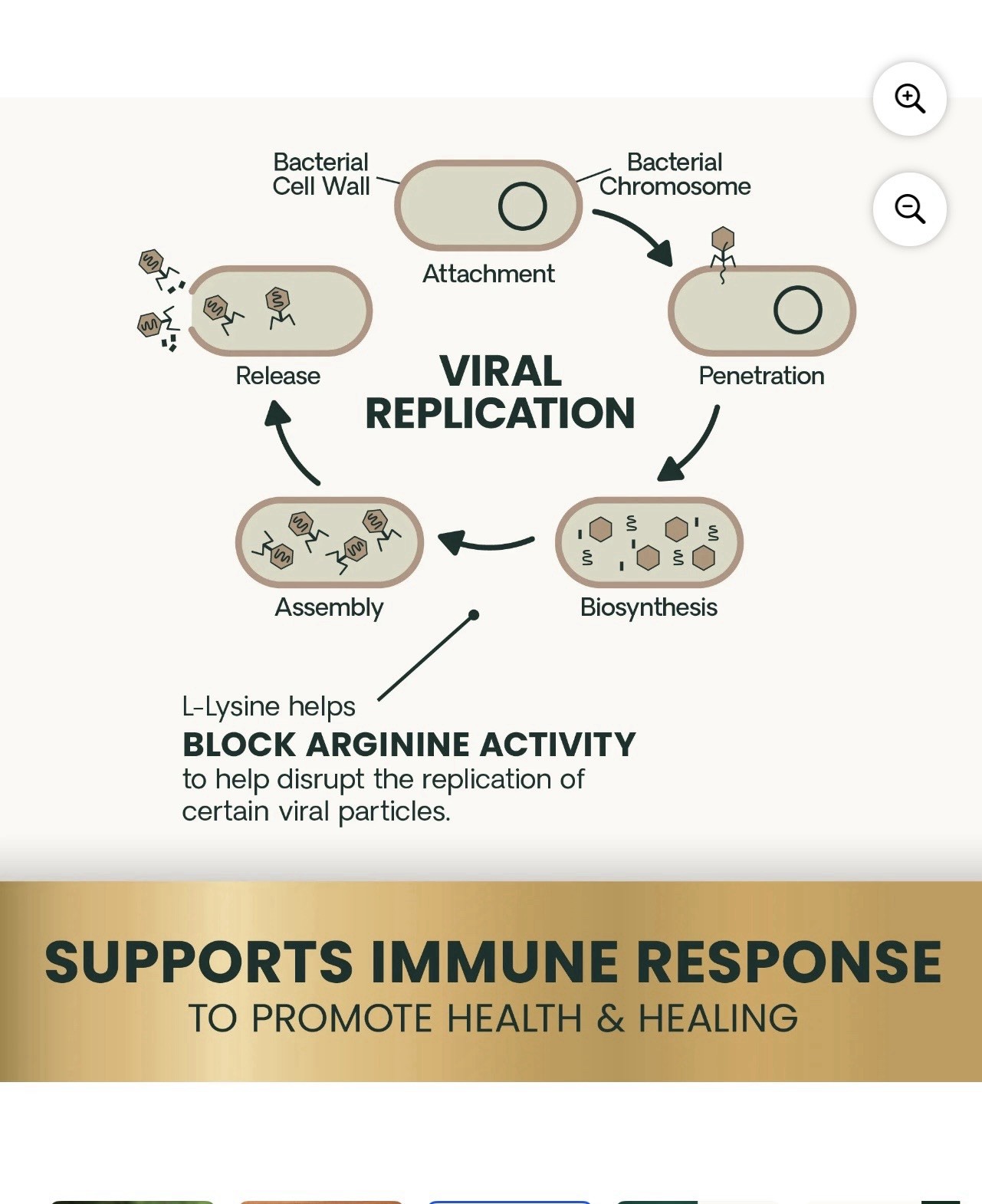 VetriScience Lysine Immunity Health Soft Chews for Cats, Immunity & Well-Being