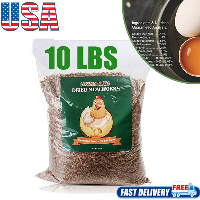 10 LBS Dried Mealworms Non-GMO for Birds Chickens Hen Fish Reptile Pond Turtles