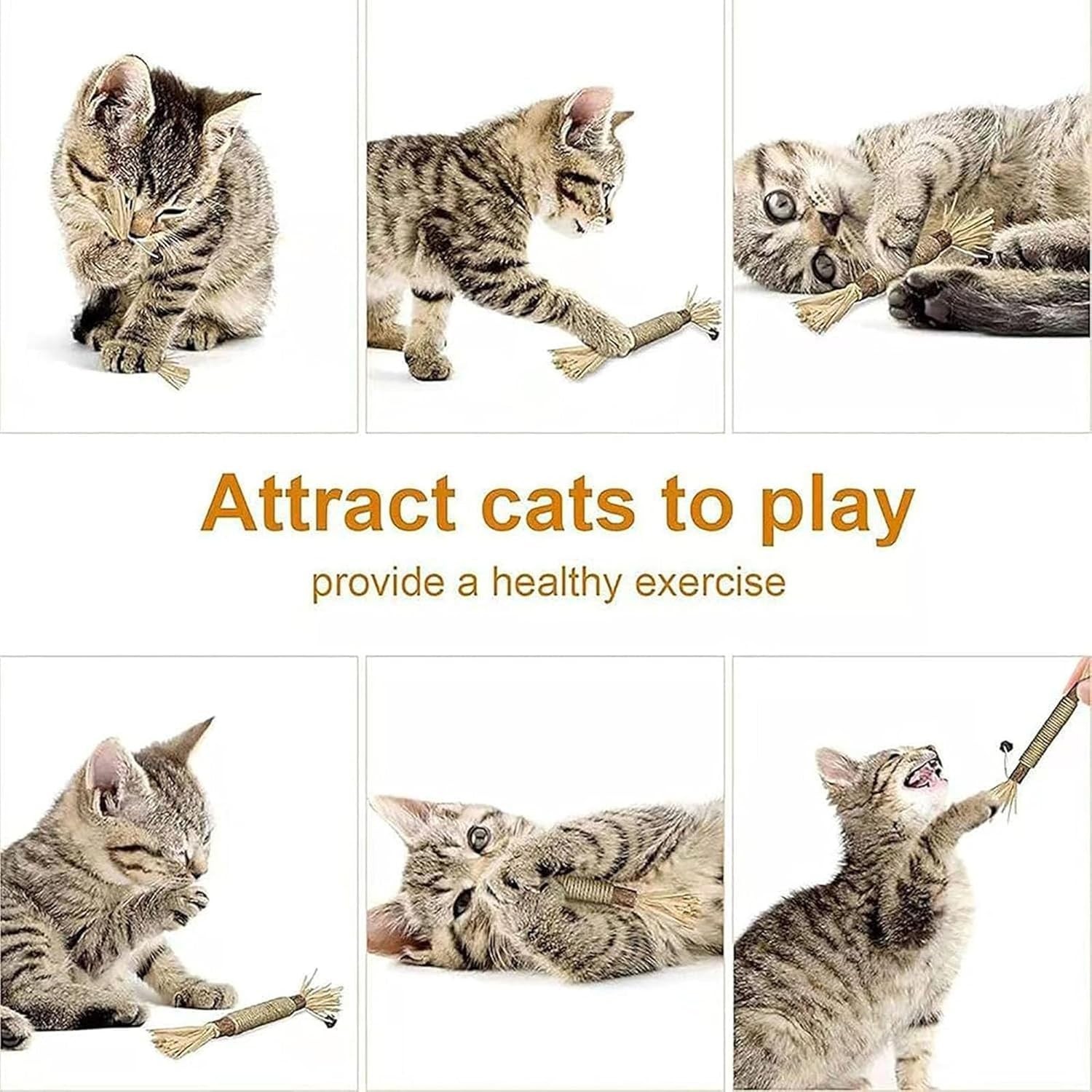 4~10pcs Silvervine Sticks for Cats ,Natural Catnip Sticks,Cats Chew Dental Treat