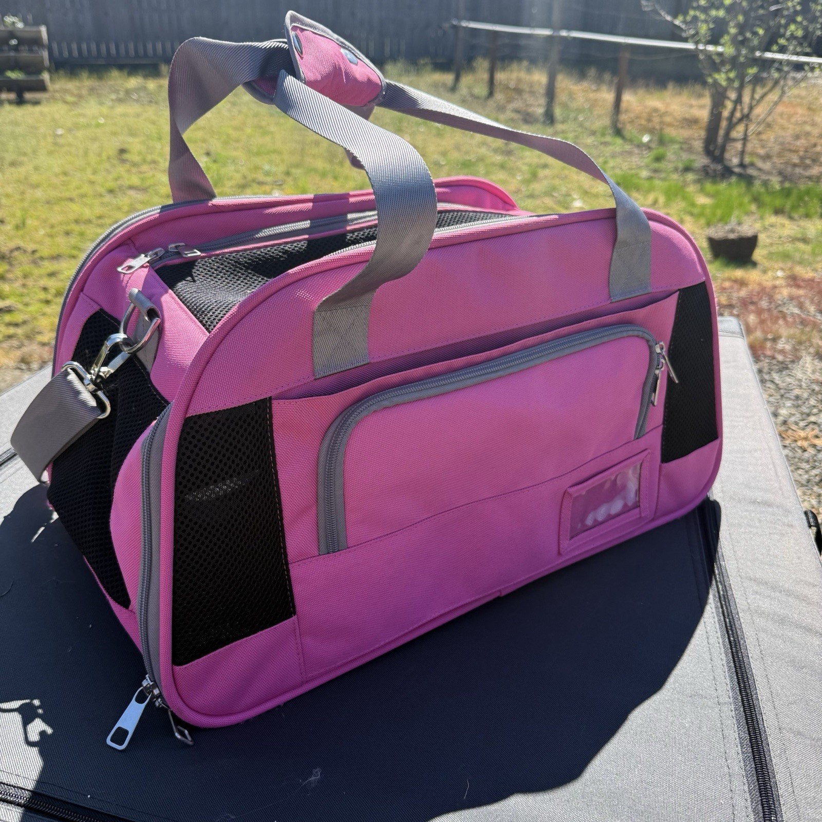 Pink Good2Go Pet Carrier, 21″L X 12″H X 12″D, up to 18 lbs