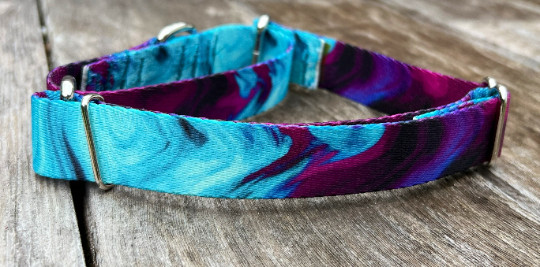 1 inch wide Adjustable Martingale Dog Collar – Slip on Purple & Teal Collar USA