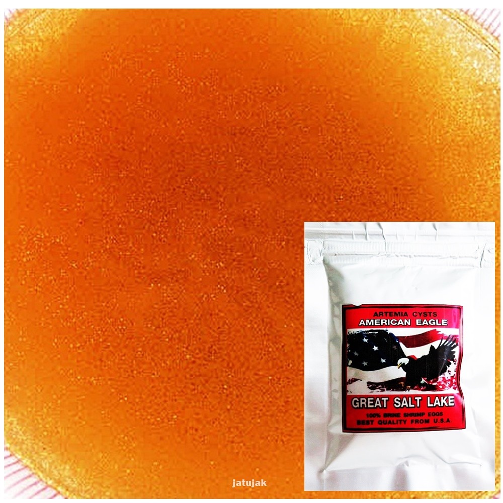 Eggs Brine Shrimp Artemia Cyst From USA Best Quality 50g