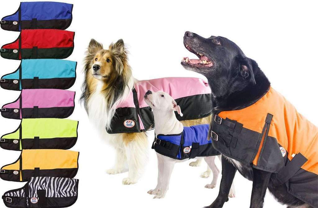 Derby Horse Tough Classic 600D Waterproof Winter Dog Coat 150g 1 Year Warranty