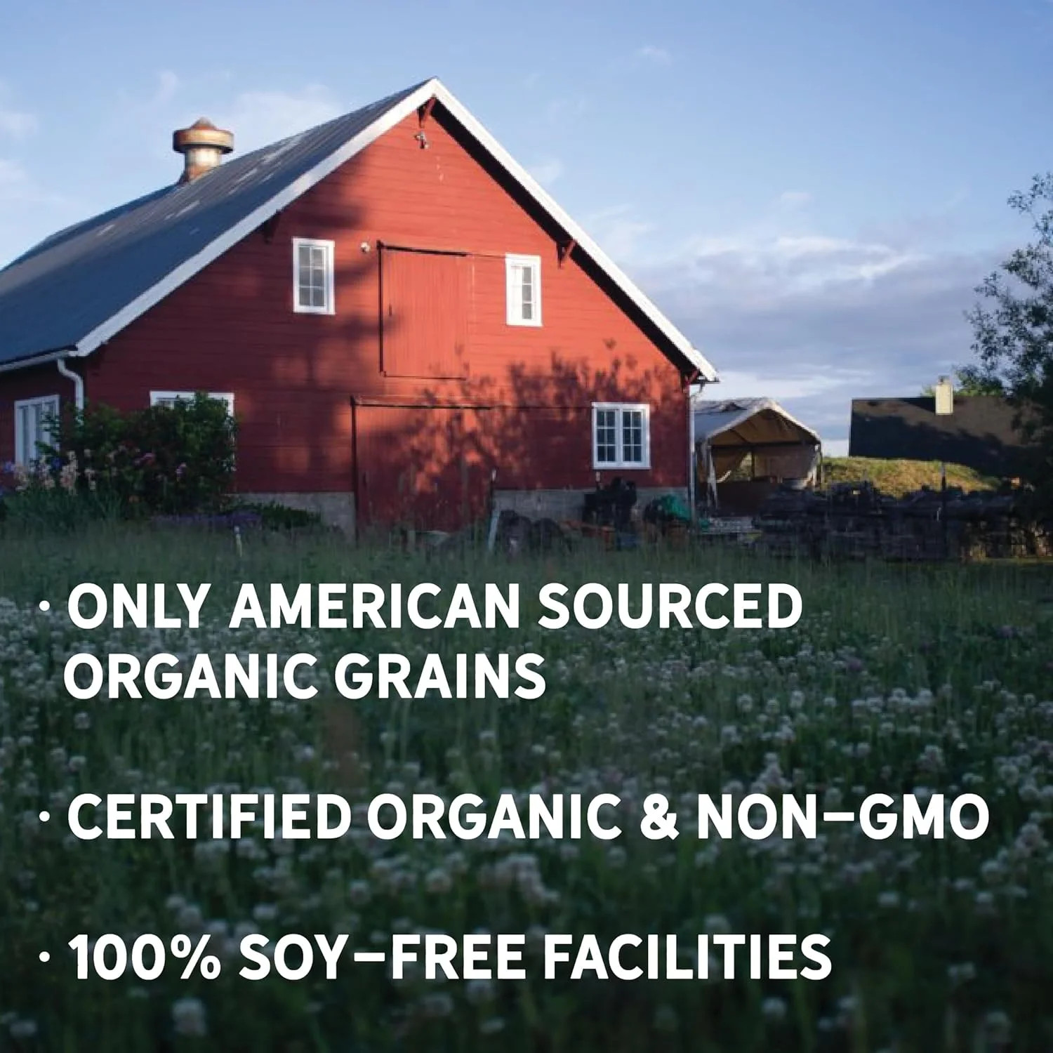 New Country Organics | Sheep Feed for Lactating Ewes and General Maintenance | S