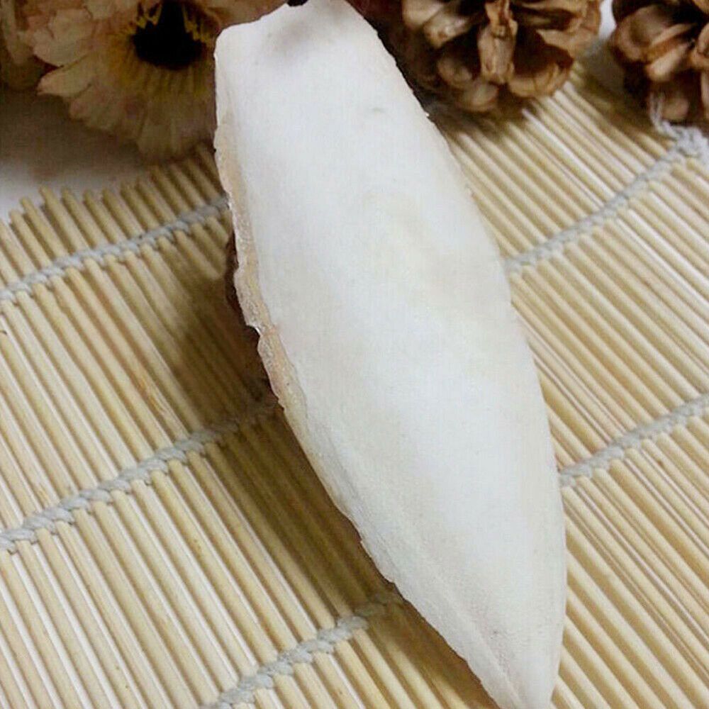 10-20Pcs Calcium Cuttlebone Cuttlefish bone Sepia/Cuttle/Fish/Bird Food USAA~