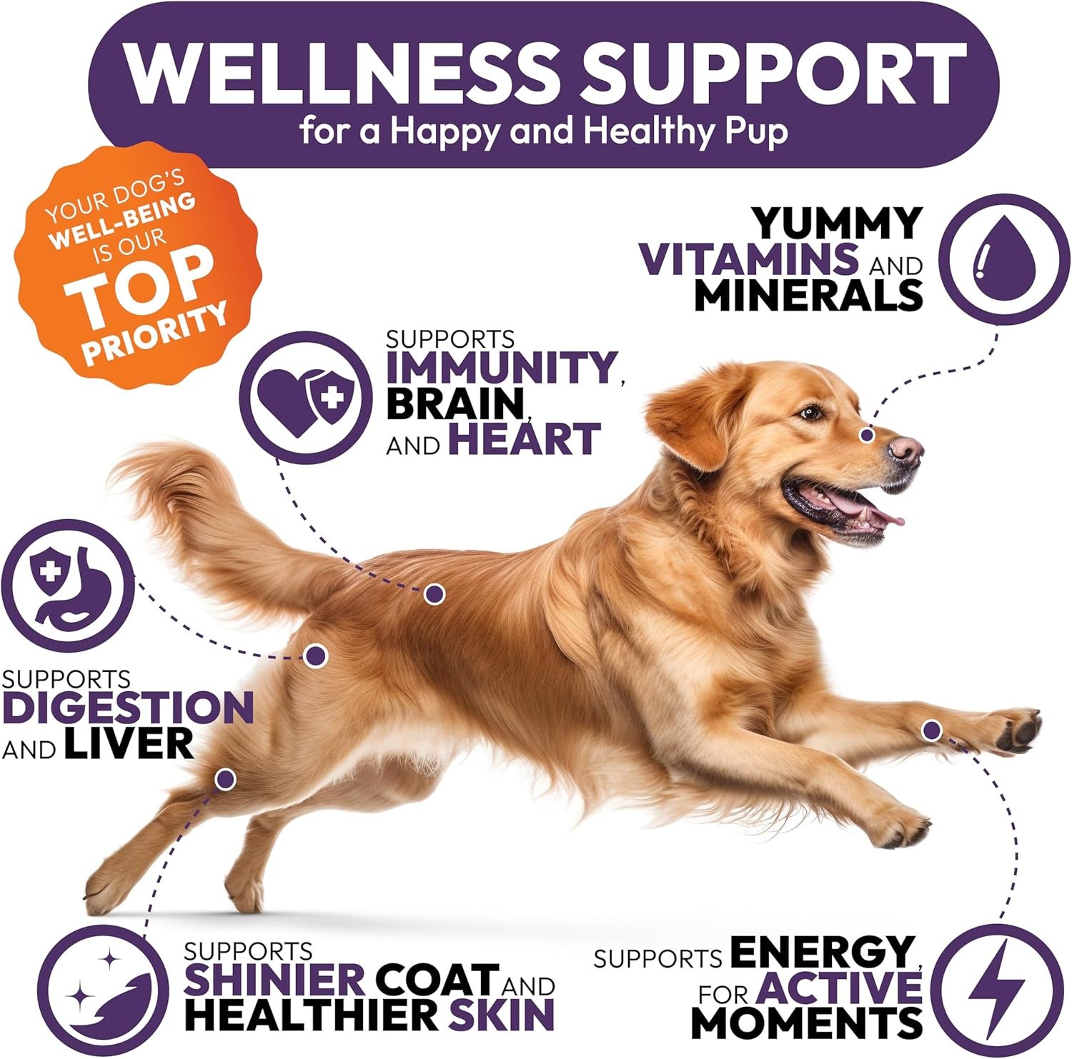 25-in-1 Advanced Dog Vitamins & Supplements 250 Immune Chews Glucosamine Omega-3