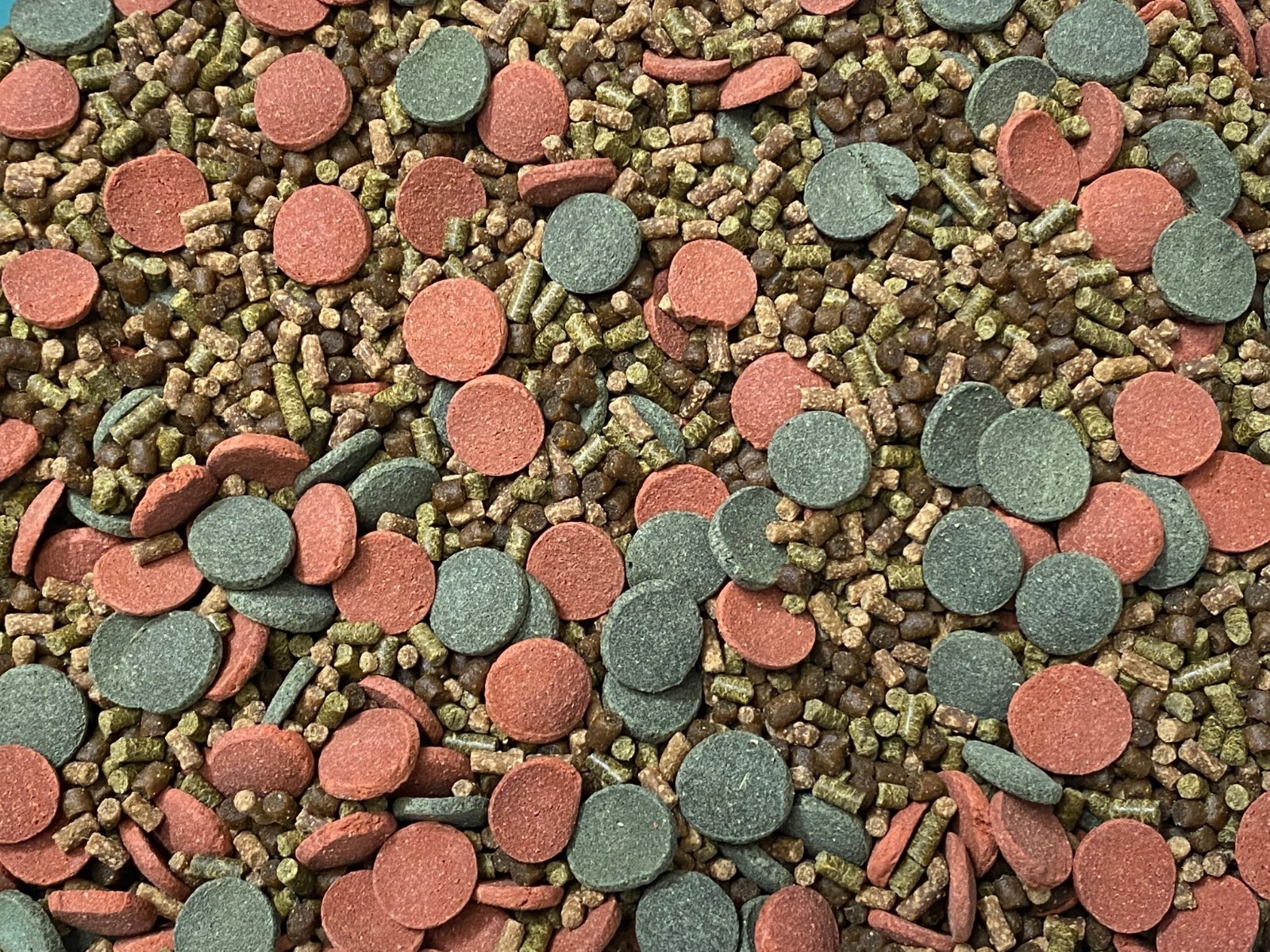 ABF CORY CATFISH MIX Bottom Feeders,Krill,Spirulina,Cory Cats,PlecoABF425WW