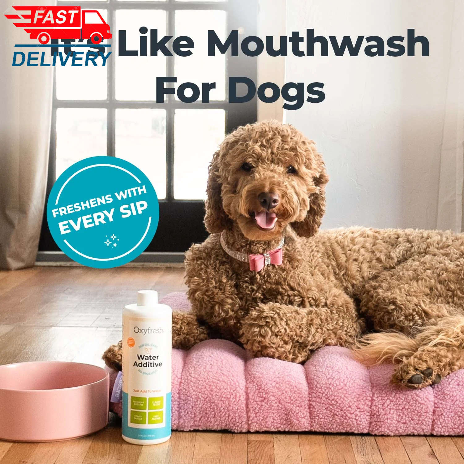 Premium Dog Dental Water Additive, Best Way to Eliminate Bad Breath👌✅