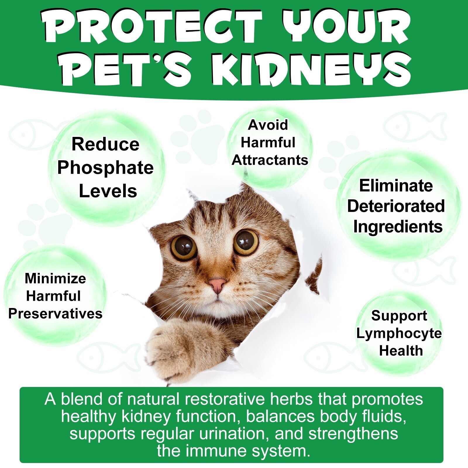 Kidney Support for Cats, Supports Detox, Heal Support Healthy Kidney Herbal Oil