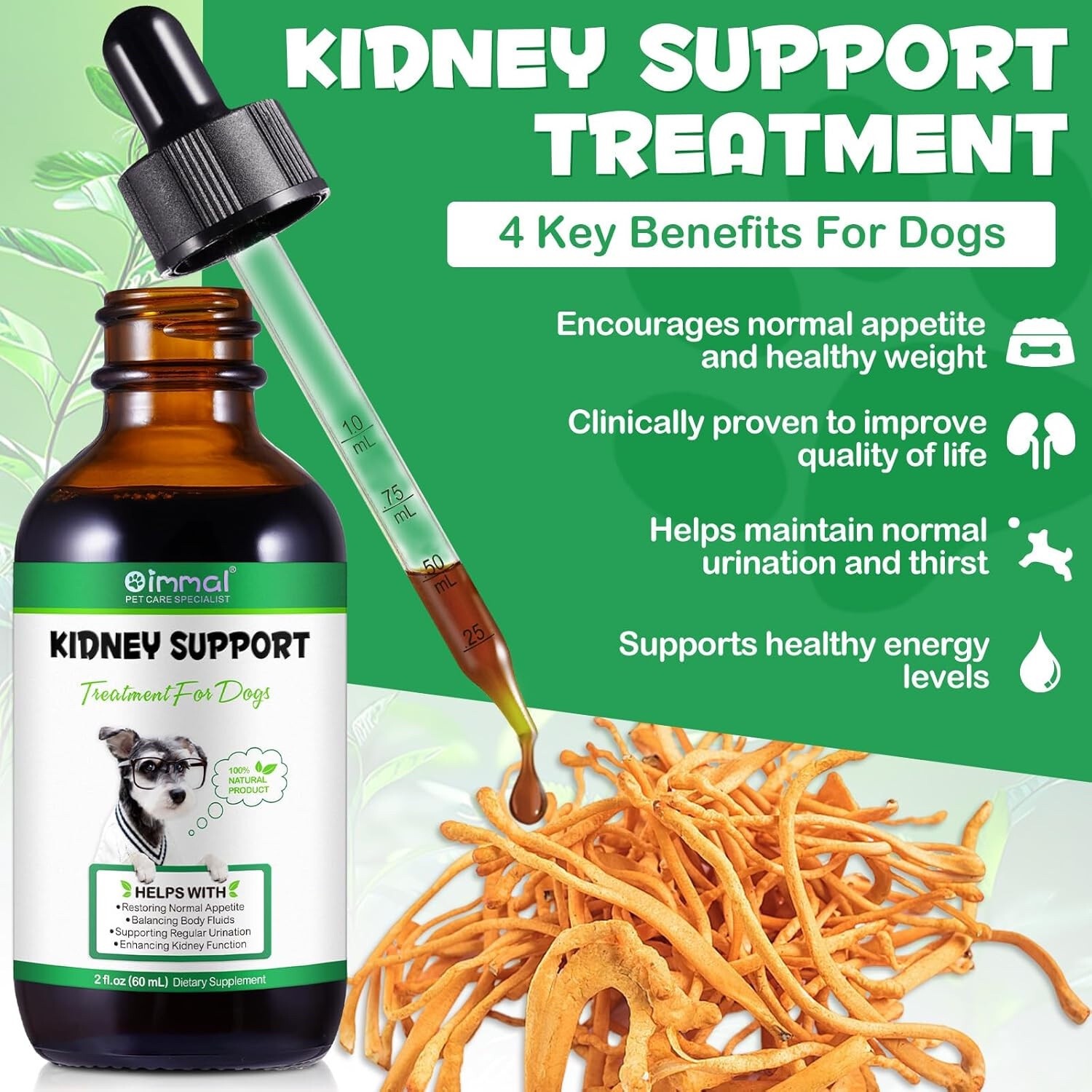 Kidney Support for Dogs, Support Urinate Regularly, Increase Immunity